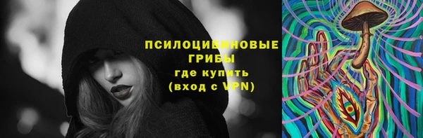 spice Арсеньев