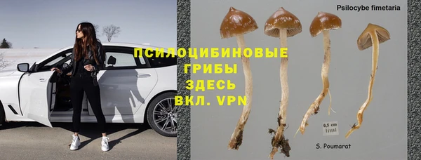 ешки Аркадак