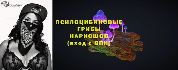 ешки Аркадак