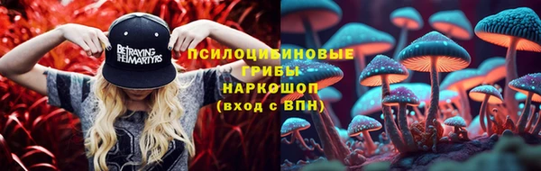 ешки Аркадак