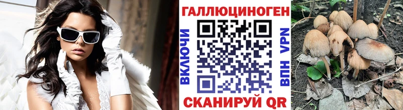 Купить закладки Волгореченск Псилоцибиновые грибы MAGIC MUSHROOMS